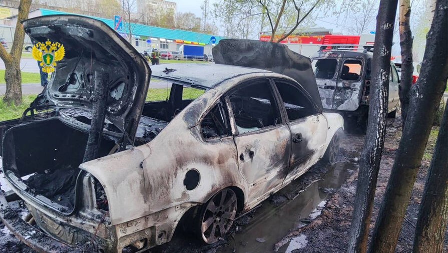 Россиянин сжег дотла Volkswagen бывшей жены в Зеленограде и попал на видео
